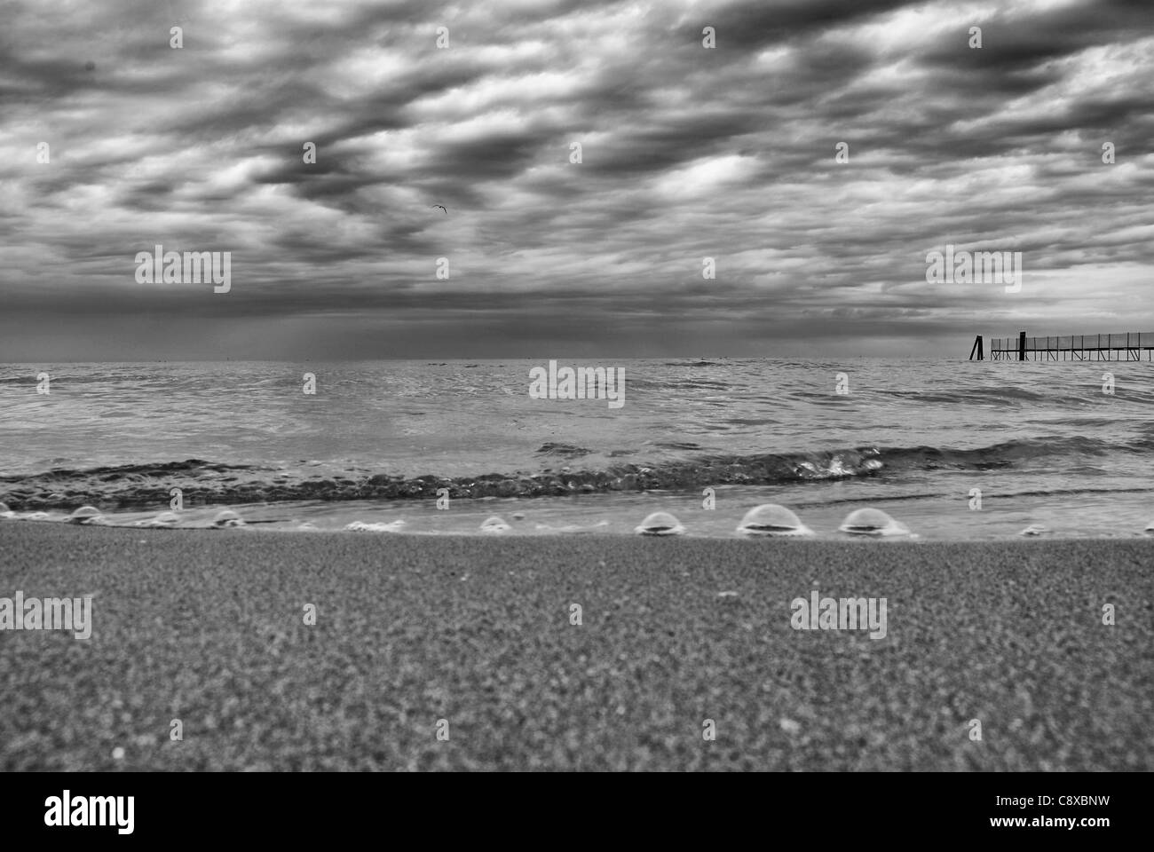 Onda morbida di mare sulla spiaggia di sabbia Foto Stock