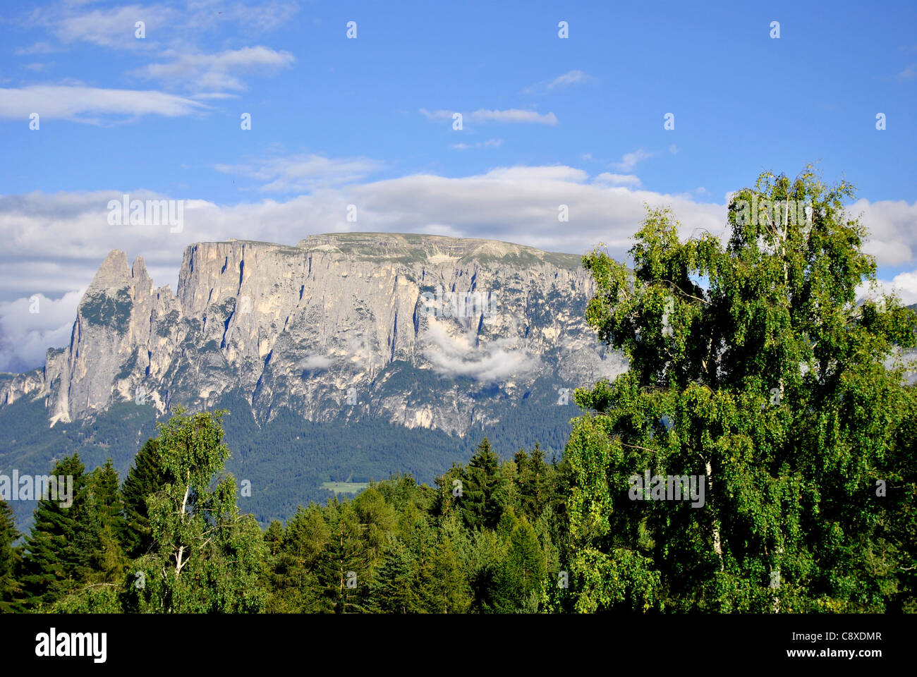 Bella e verde paesaggio di montagna con alberi in Renon, Italia, Alto Adige Foto Stock