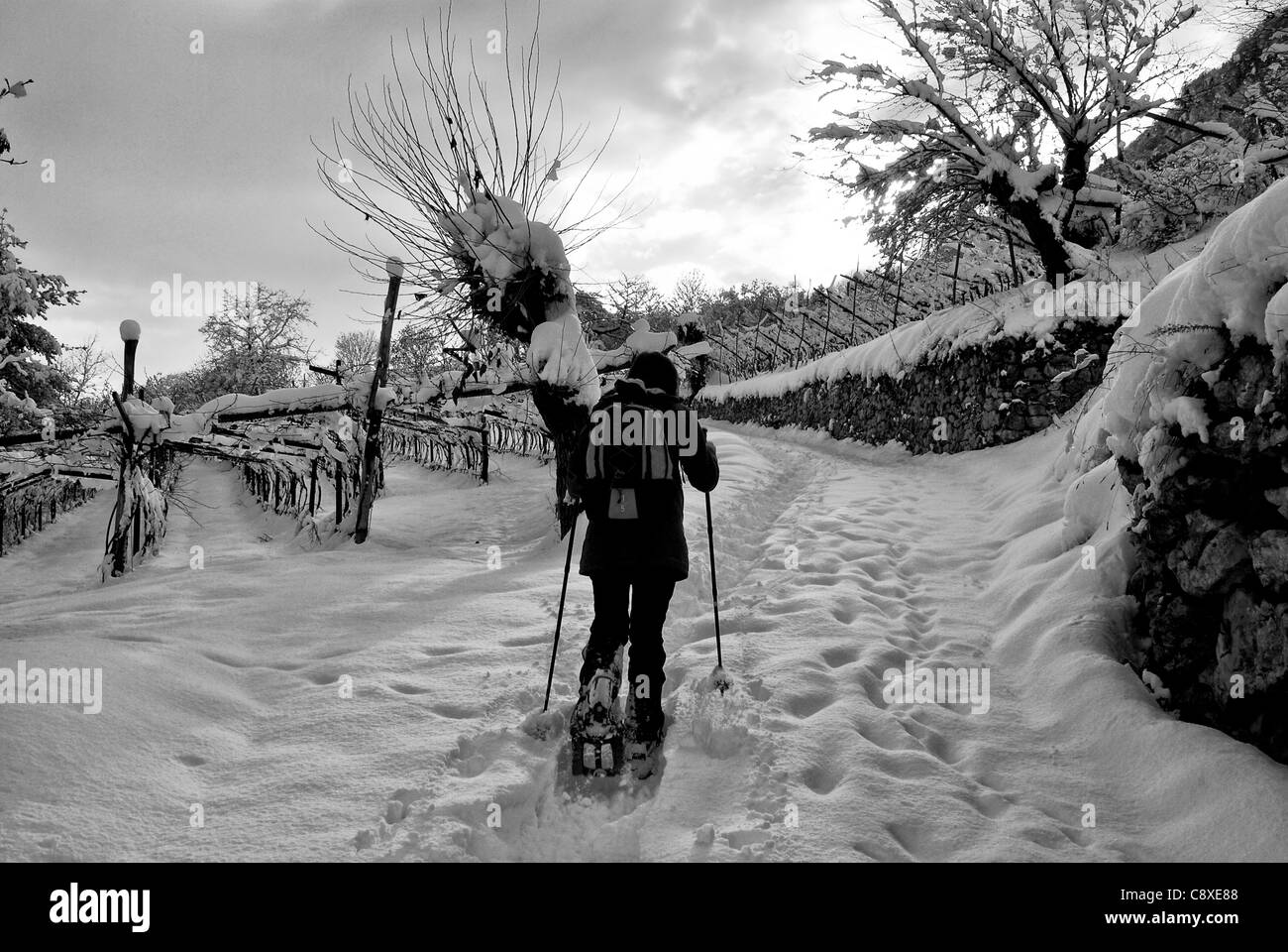 Escursionista passeggiate nella foresta di neve Foto Stock