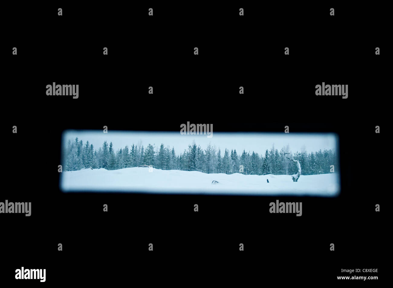 Vista da eagle foto nascondere in Finlandia centrale inverno Foto Stock