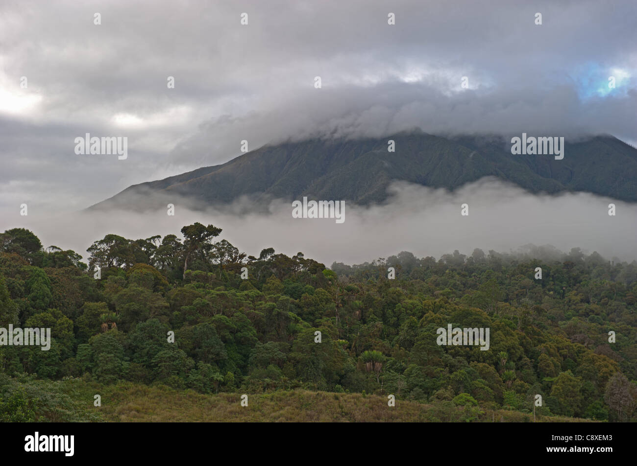 Foreste montane e prateria a Tari Gap (9000ft) Southern Highlands di Papua Nuova Guinea Foto Stock