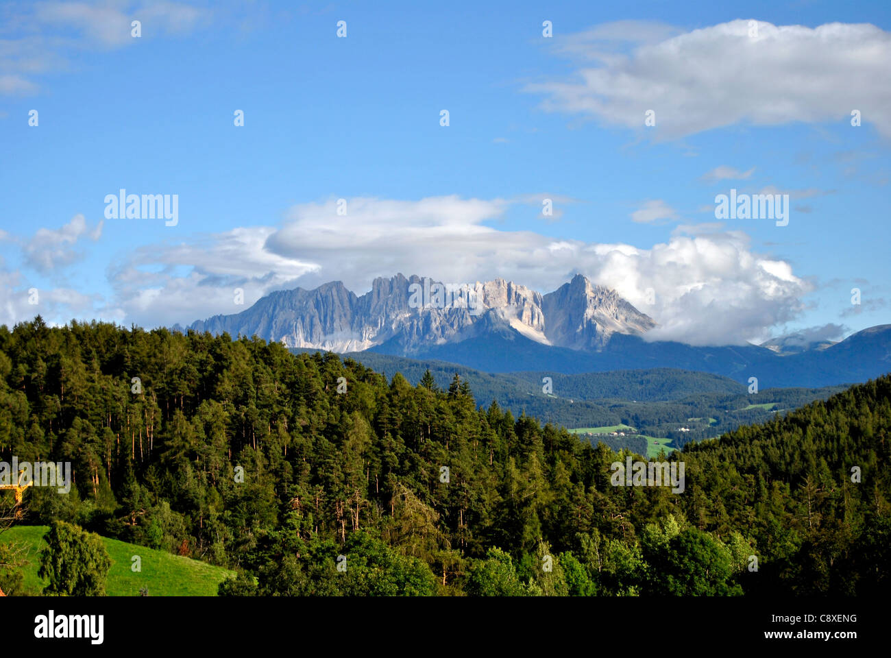 Bella e verde paesaggio di montagna con alberi in Renon, Italia, Alto Adige Foto Stock