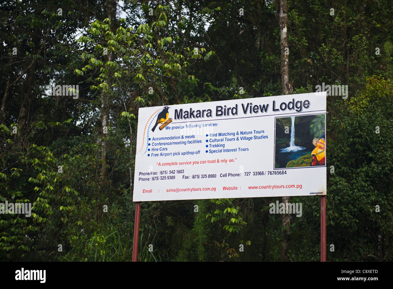 Makara che Bird View Lodge Tari Southern Highlands di Papua Nuova Guinea Foto Stock