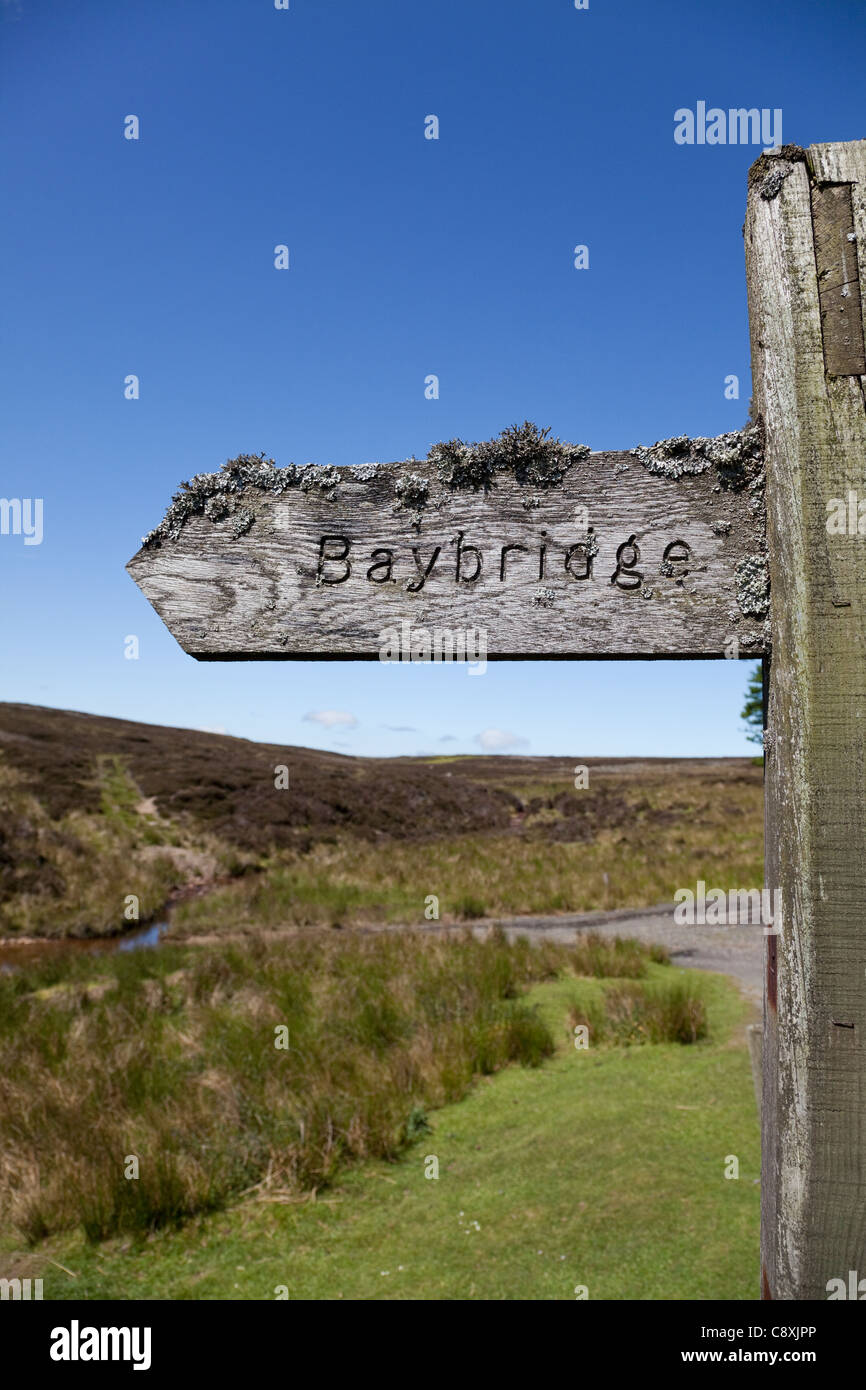 Campagna di legno sentiero segno, Baybridge, Weardale, Blanchland, North Pennines, Northumberland, Inghilterra. Regno Unito Foto Stock
