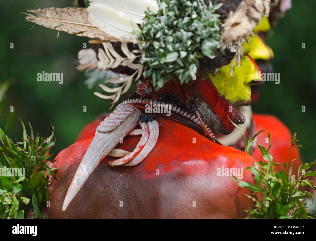 Huli Wigmen dal Tari Valley in Southern Highlands di Papua Nuova Guinea indossando una fattura da Blyth's Hornbill come decorazione Foto Stock