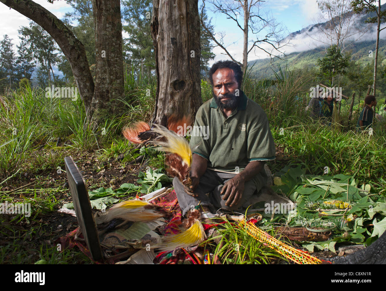 Il disimballaggio uomo uccello del paradiso pennacchi di costruire abito di testa in corrispondenza di un sistema online di Sing-sing Highlands Occidentali Papua Nuova Guinea Foto Stock