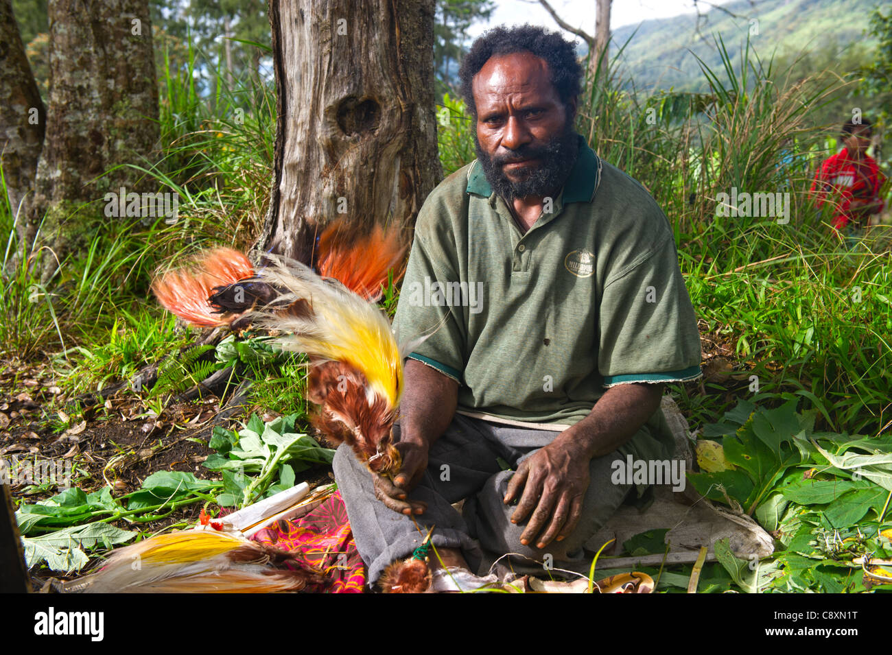 Il disimballaggio uomo uccello del paradiso pennacchi di costruire abito di testa in corrispondenza di un sistema online di Sing-sing Highlands Occidentali Papua Nuova Guinea Foto Stock