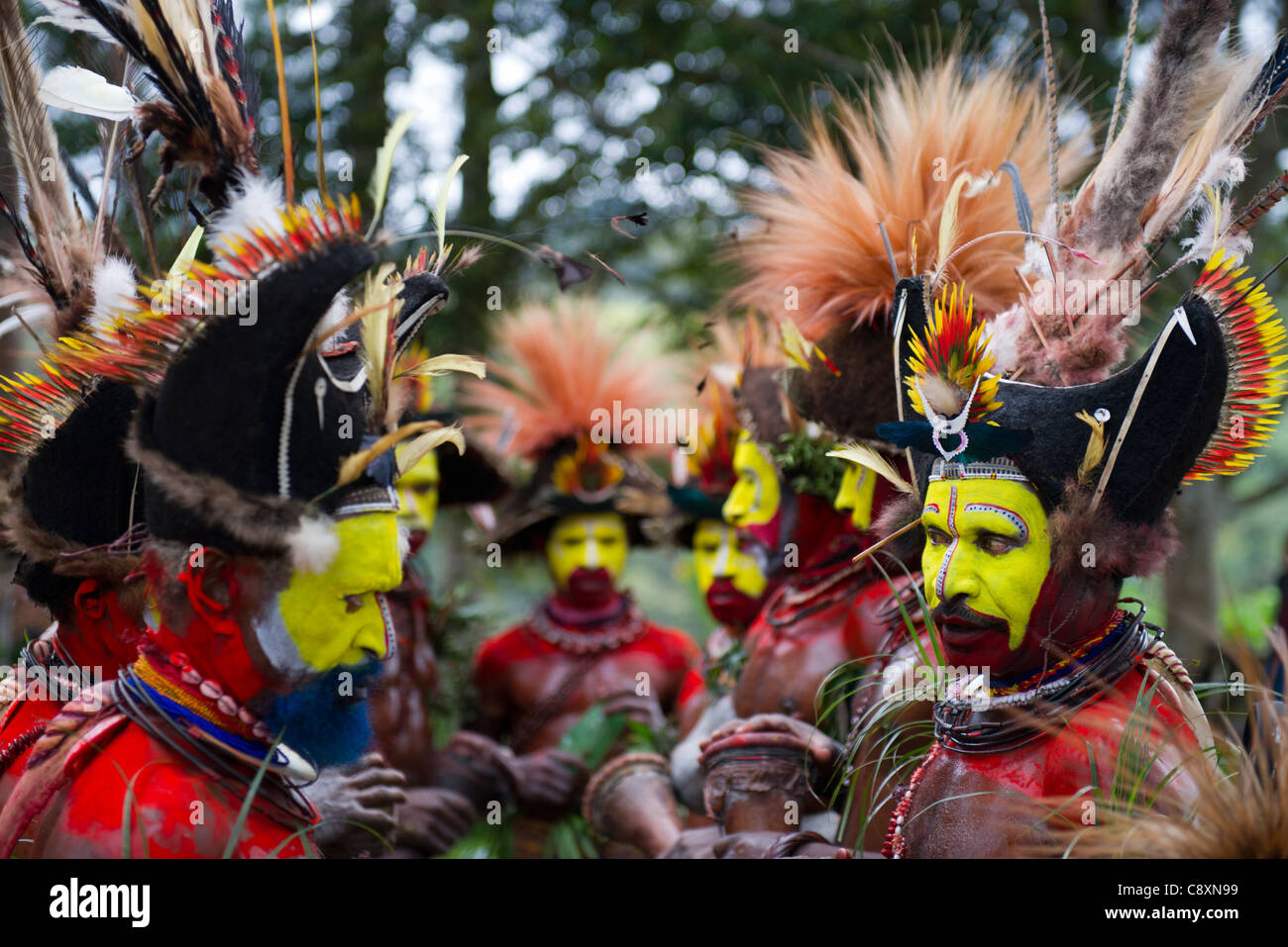 Huli Wigmen a Paiya Visualizza Sing-sing nelle Highlands di Papua Nuova Guinea Foto Stock