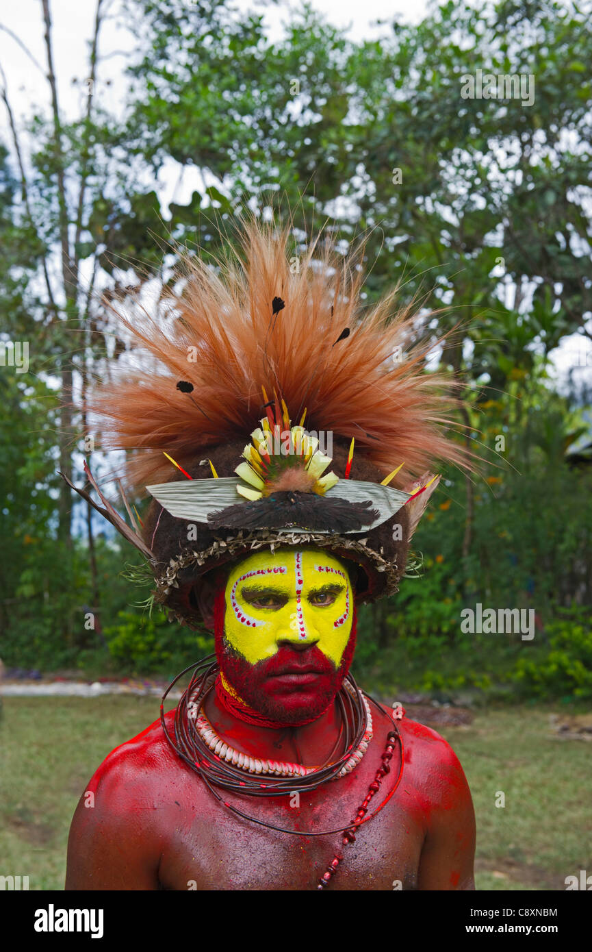 Huli Wigman adornata di uccello del paradiso abito di testa Tari Highlands di Papua Nuova Guinea Foto Stock