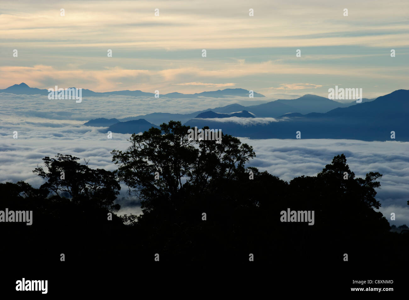 Vista dal Magic Mountain Lodge attraverso il cloud contemplati nella valle verso Mt Hagen nelle Highlands Occidentali Papua Nuova Guinea Foto Stock