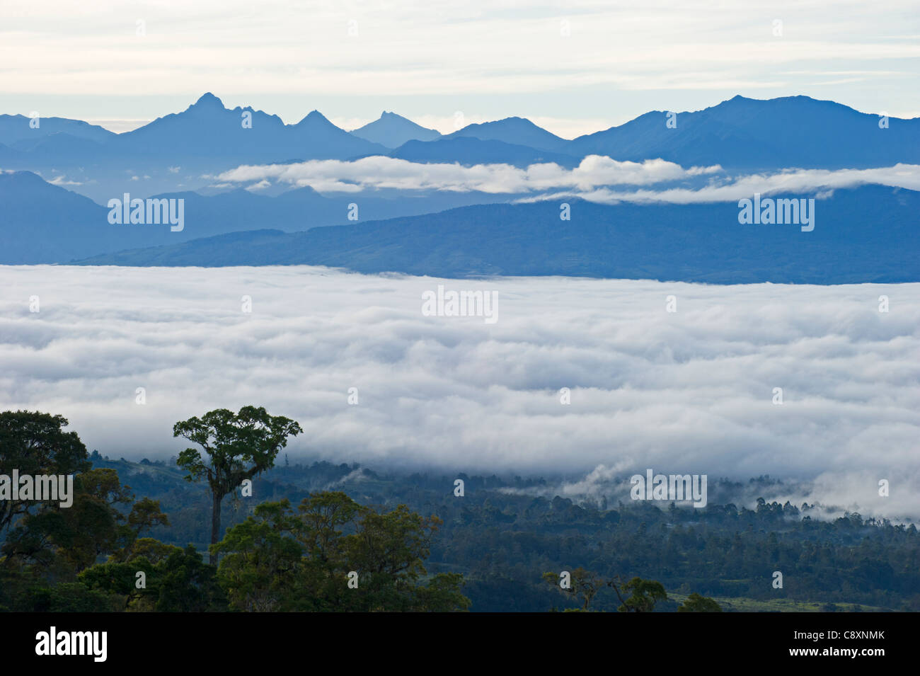 Vista dal Magic Mountain Lodge attraverso il cloud contemplati nella valle verso Mt Hagen nelle Highlands Occidentali Papua Nuova Guinea Foto Stock