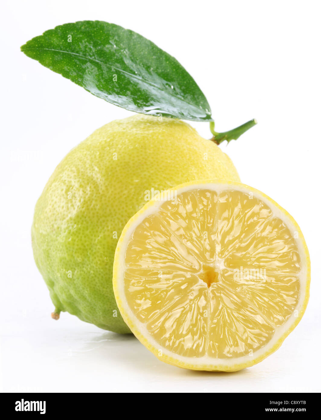 Foto di alta qualità di limone maturo su sfondo bianco Foto Stock
