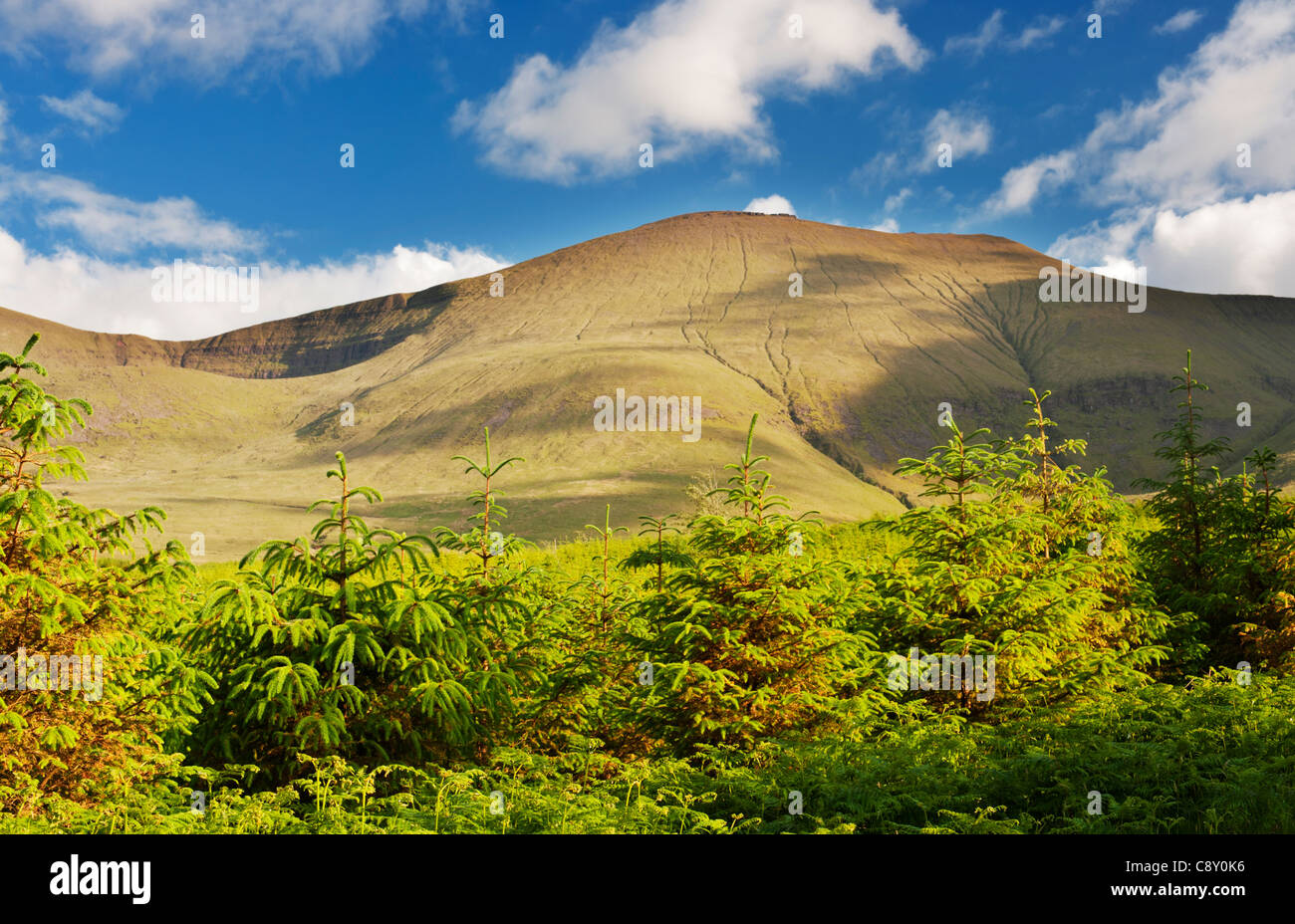 Galtymore montagna, la montagna più alta delle montagne Galty gamma, Tipperary, Irlanda, dal Glen of Aherlow Foto Stock