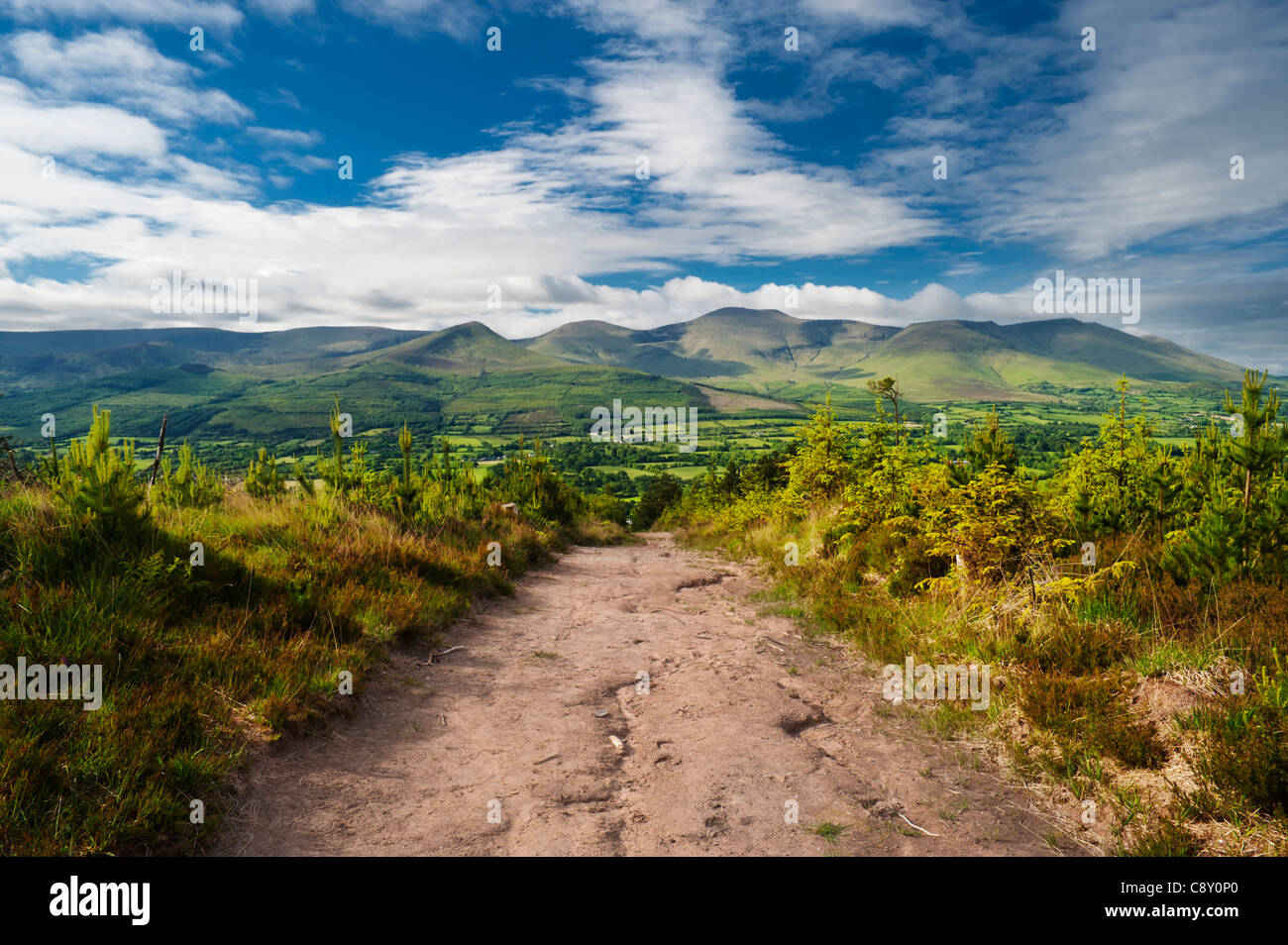 Vista verso la montagna Galty dalla Glen of Aherlow, nella contea di Tipperary, Irlanda Foto Stock