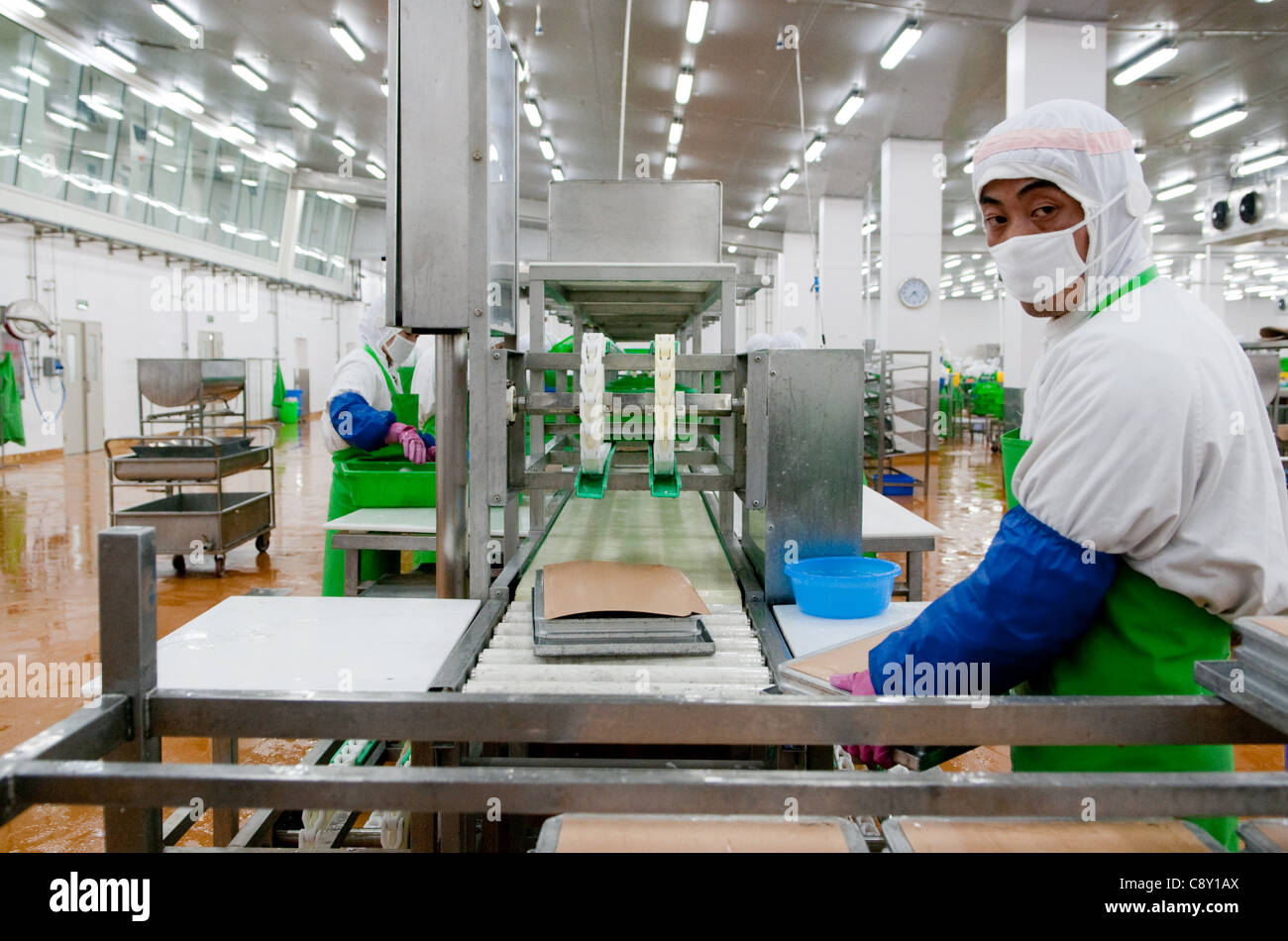 QINGDAO, CINA; 03/11/2011. Un lavoratore sta maneggiando scatole di filetto di pesce prima che entrino nel congelatore presso la Pacific Andes Food Ltd Company, dove i pesci vengono descalati, disossati, imballati e surgelati per l'esportazione in un workshop nella Marine Science & Technology Development zone di Qingdao, Cina. © Olli Geibel Foto Stock