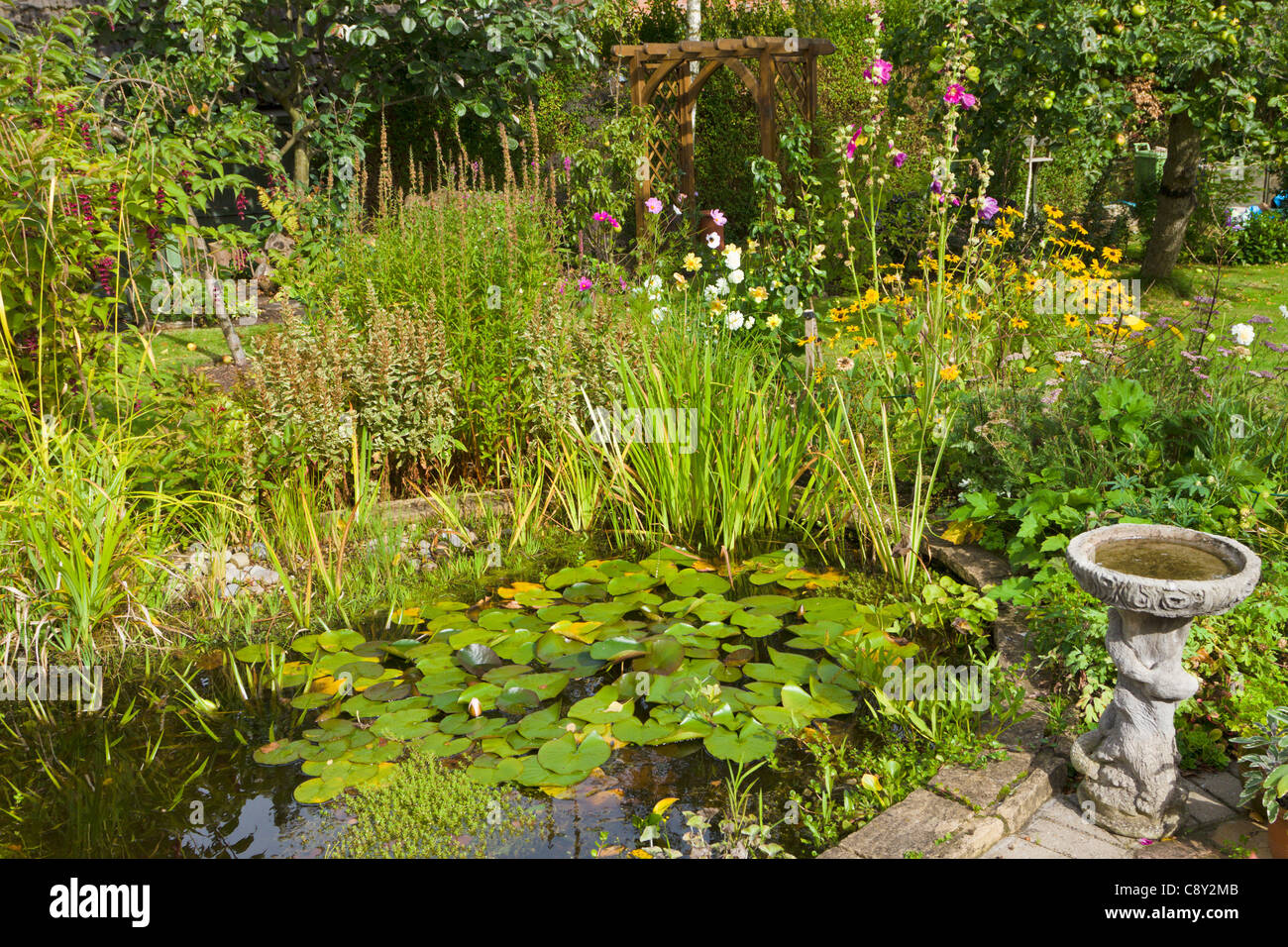 Laghetto in giardino sul retro, Inghilterra PR Foto Stock