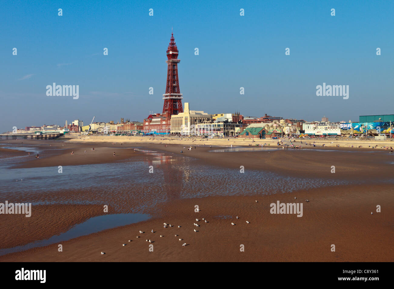 La torre e la spiaggia di Blackpool, Inghilterra Foto Stock