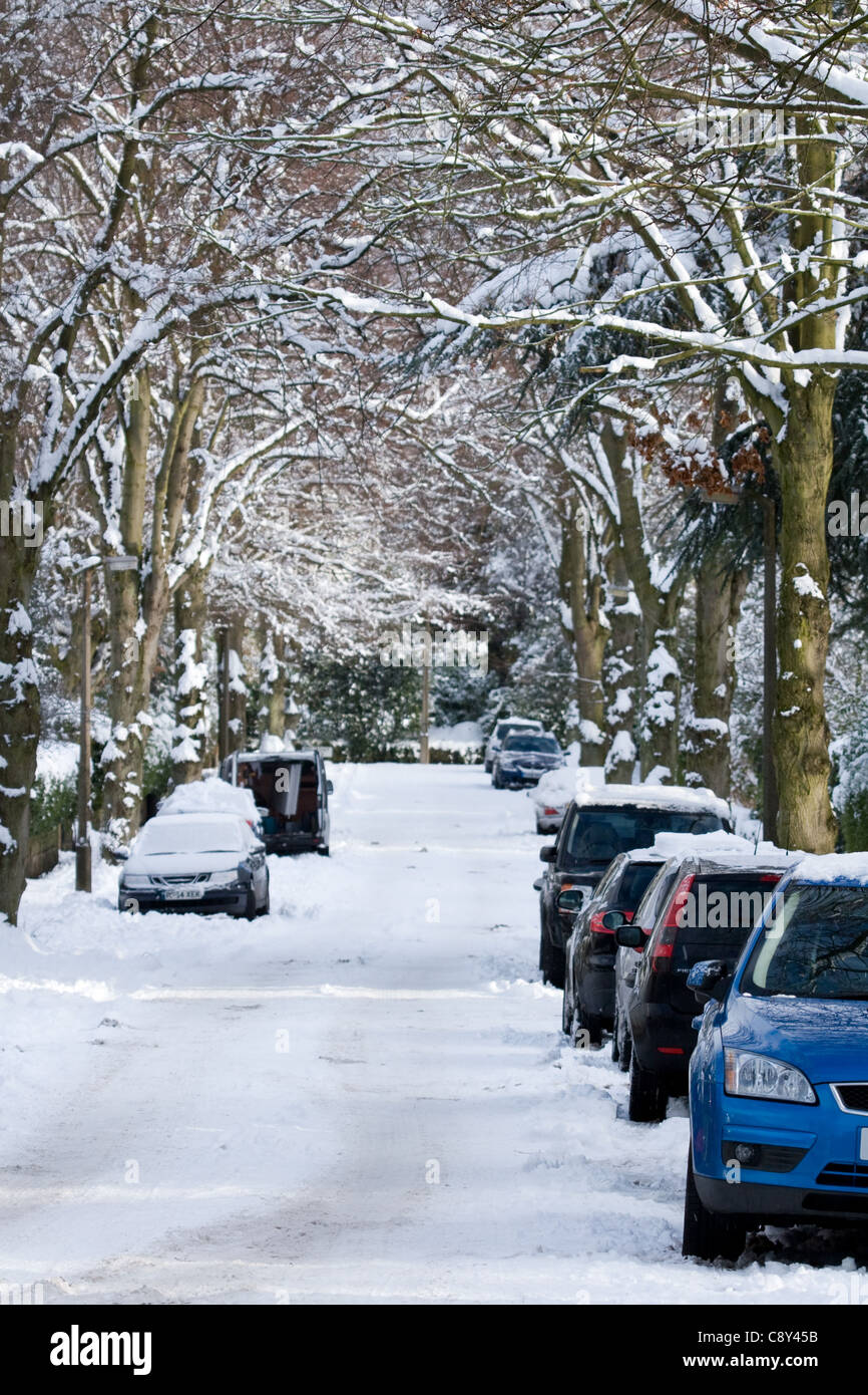 Automobili parcheggiate lungo viale alberato strada innevata in Greater Manchester 2010 Foto Stock