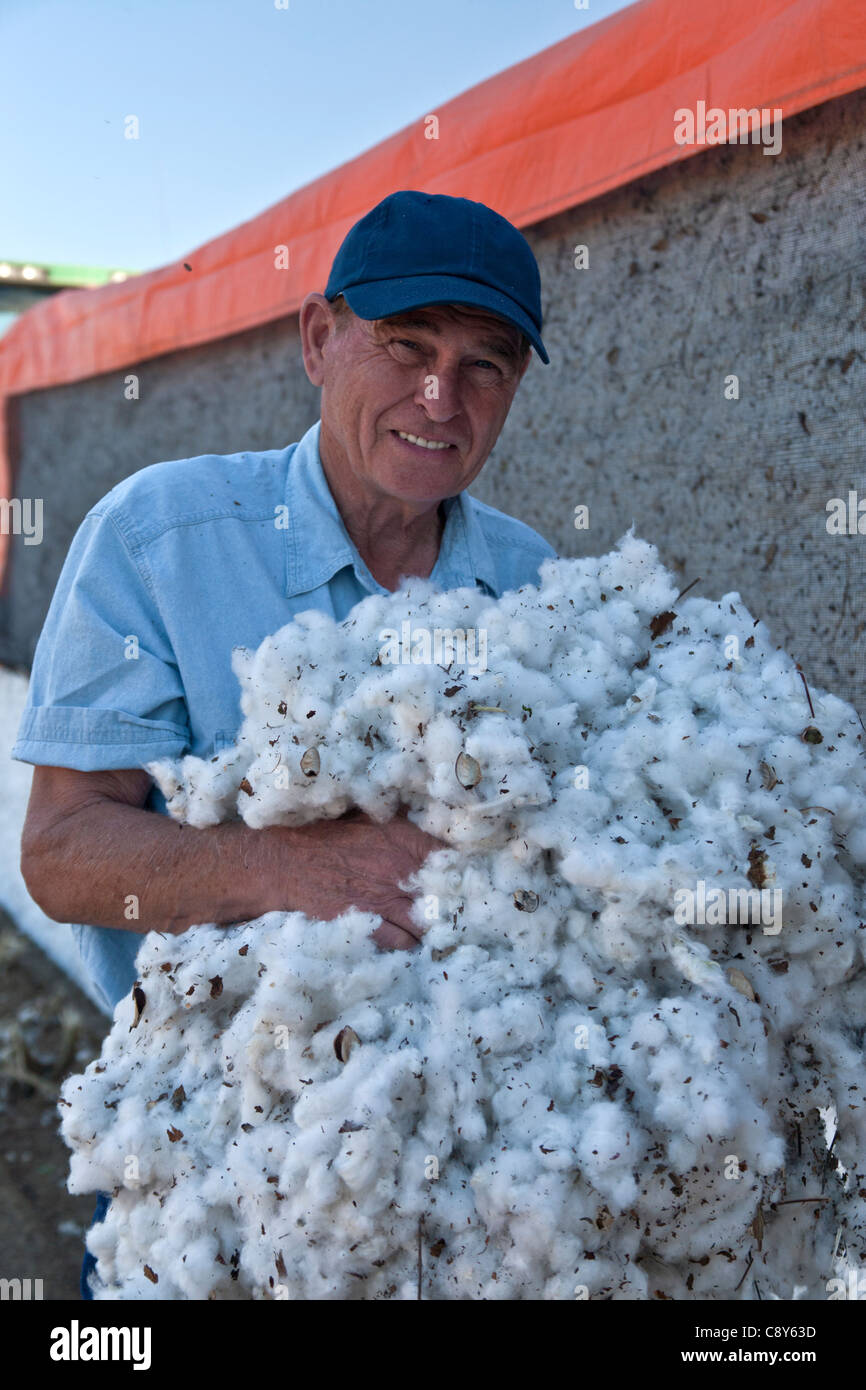 L'agricoltore che detiene bracciata di raccolto di cotone Foto Stock