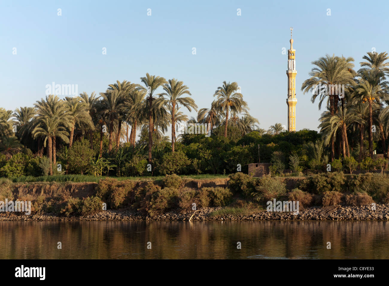 Una sezione del fiume Nilo banca con una striscia di acqua nella parte anteriore, banca arbusto, linea di palme e un minareto della moschea, Egitto Africa Foto Stock