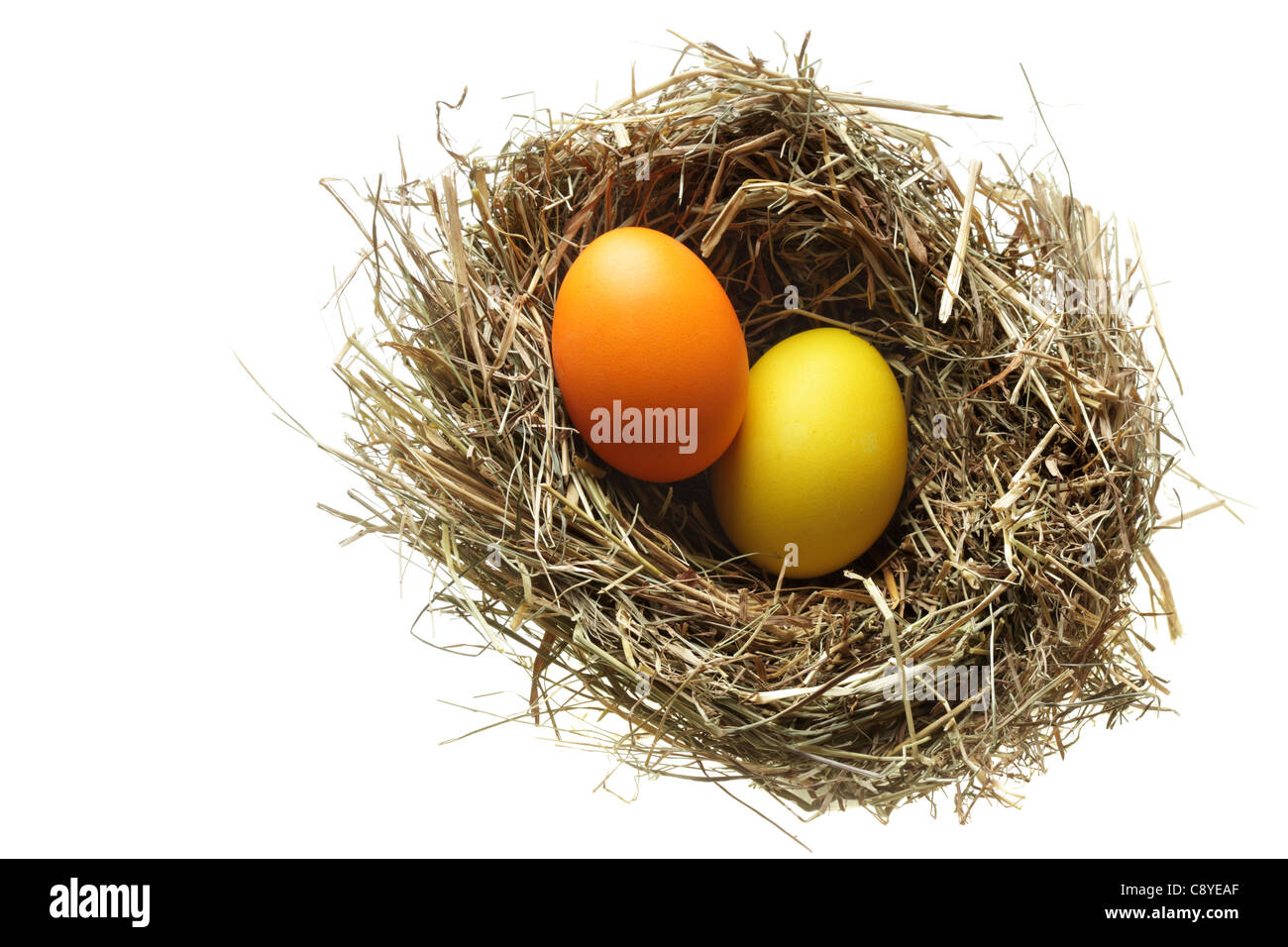 Nido con le uova di pasqua isolate su sfondo bianco Foto Stock