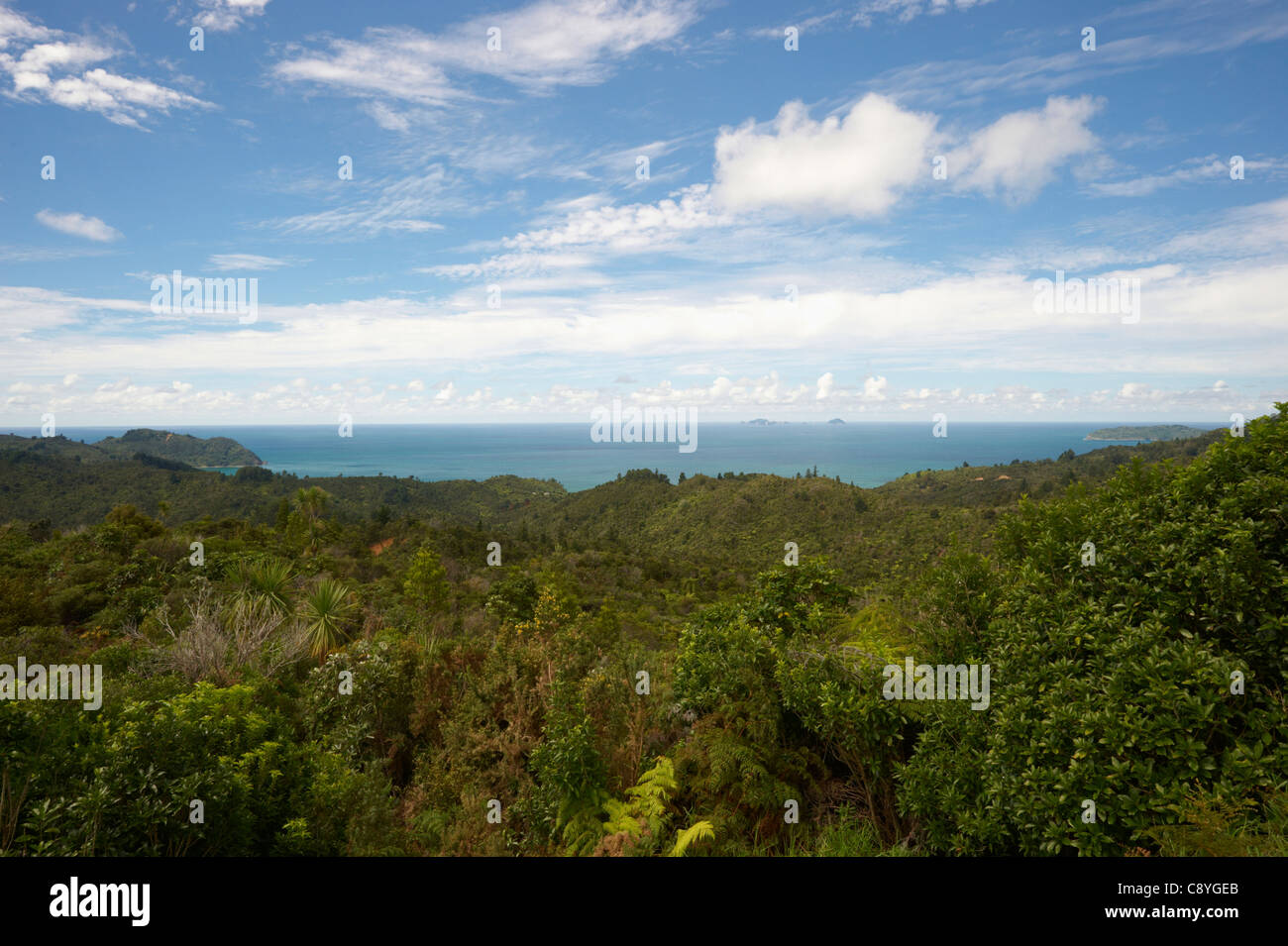 Mare blu e paesaggio verde lussureggiante, Nuova Zelanda Foto Stock