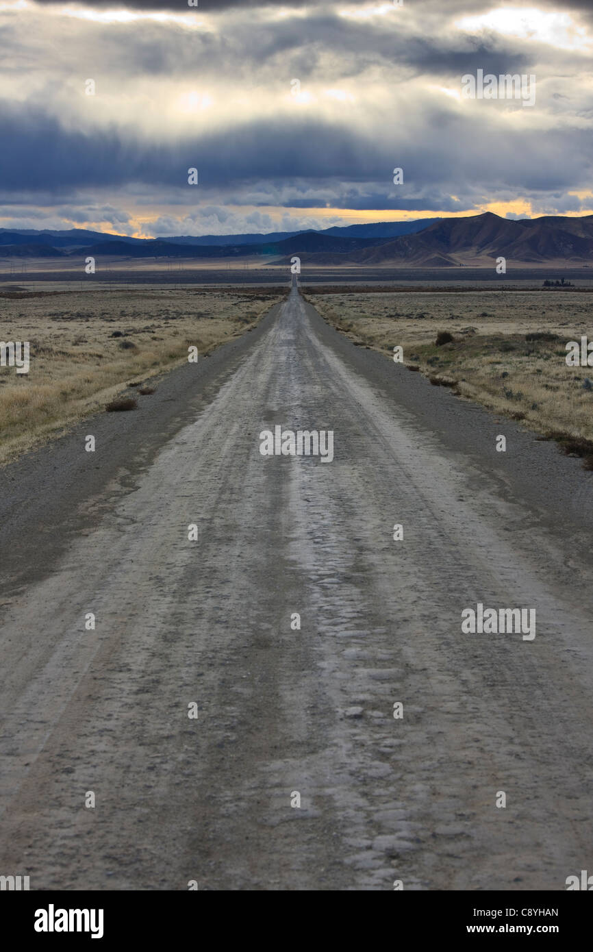Vista sud ovest nel sole al tramonto lungo sette miglia di strada a Carrizo Plain nella California Meridionale. Foto Stock