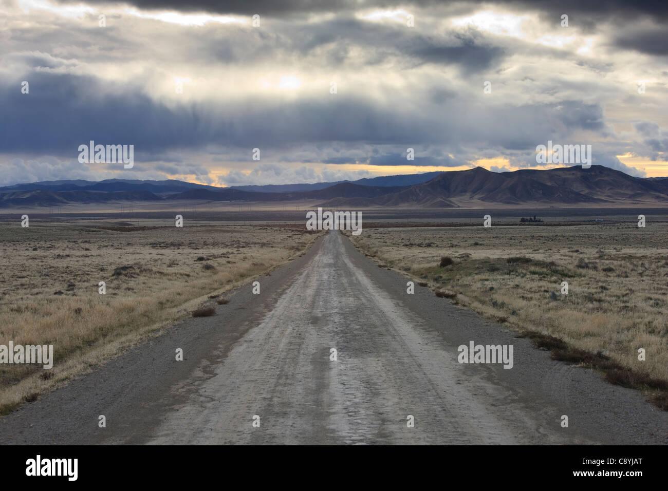 Vista sud ovest nel sole al tramonto lungo sette miglia di strada a Carrizo Plain nella California Meridionale. Foto Stock