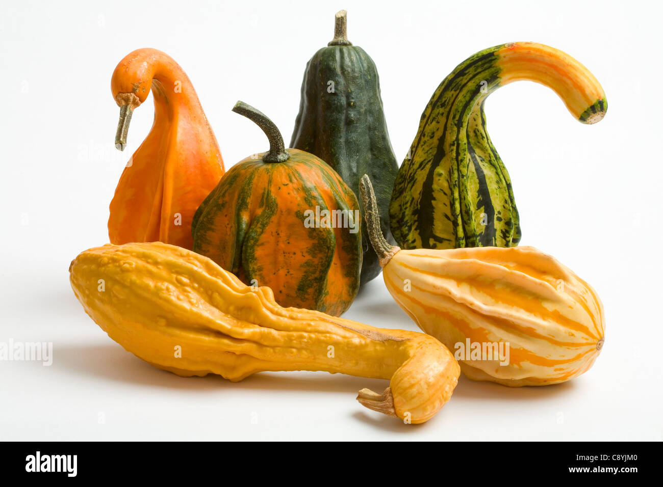 Ornamentali Zucche di frutta o spremute Foto Stock