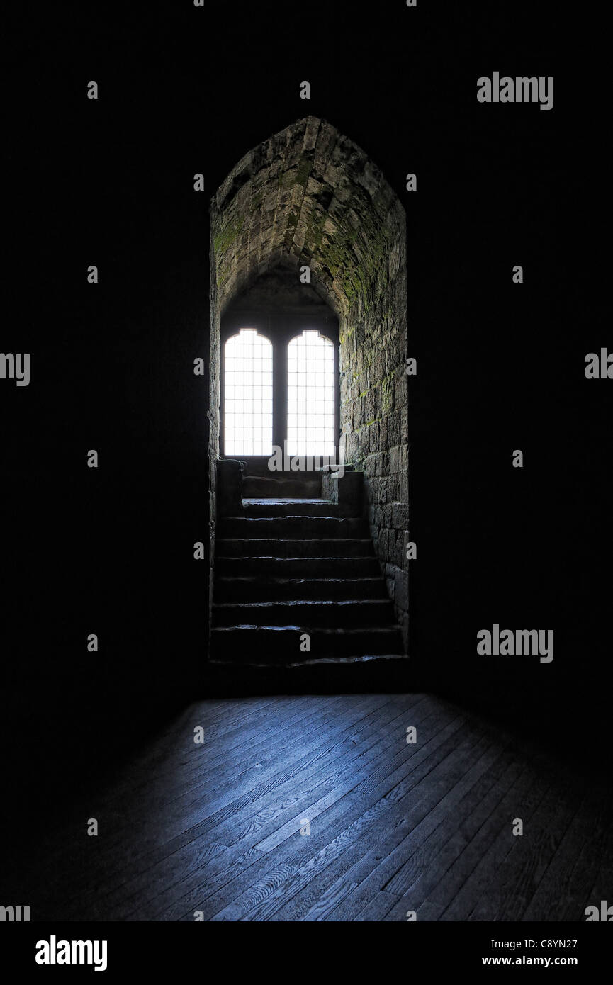 Caernarfon Castle luce finestra gwynedd north Wales UK Foto Stock