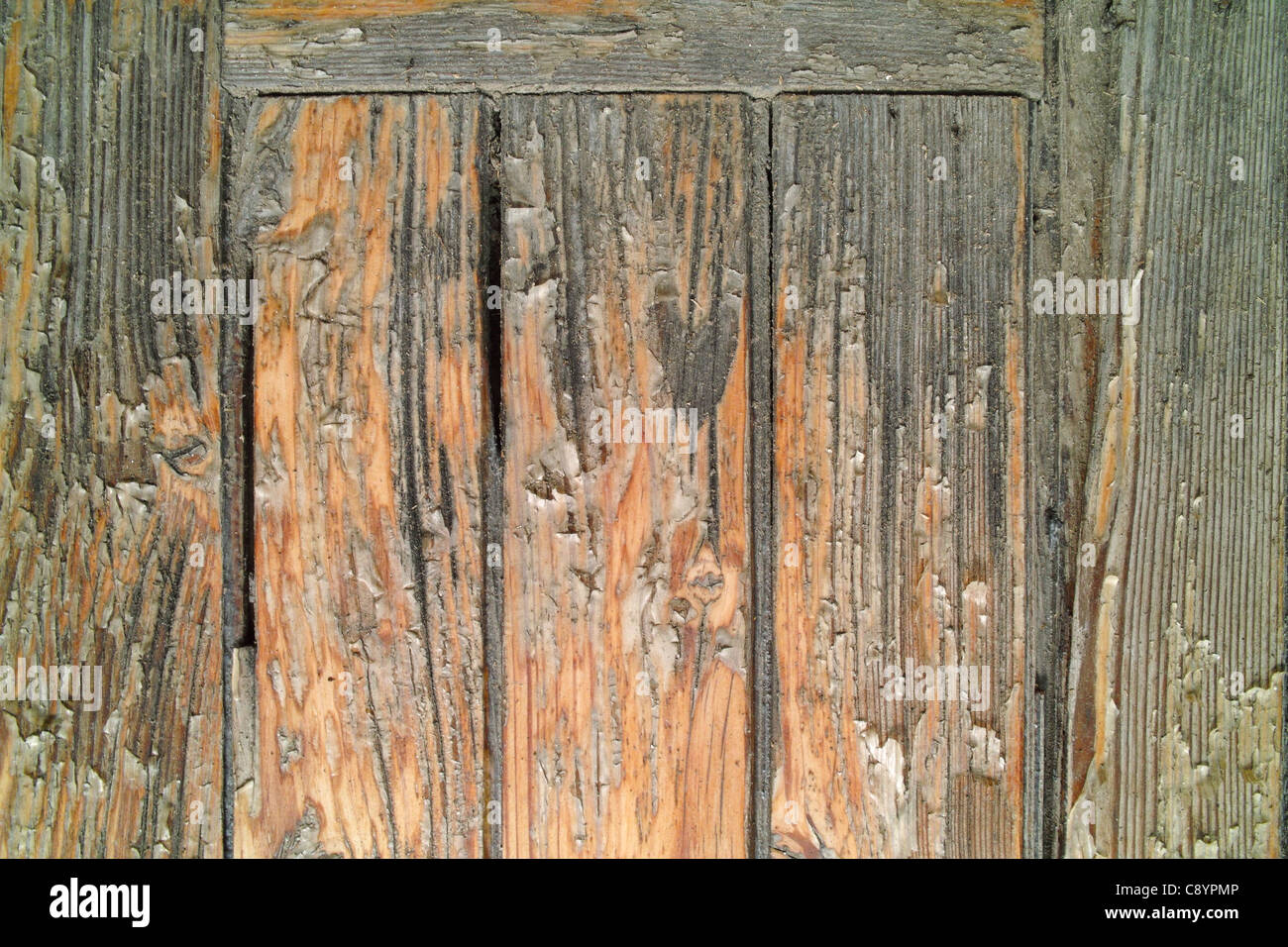 La vecchia porta con rivestimento danneggiato Foto Stock
