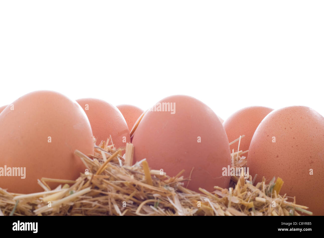 Riprese macro di uova di colore marrone a hay. Foto Stock