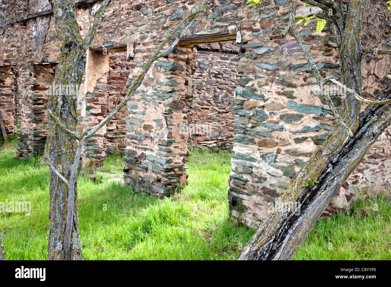Rovine dell'antico ufficio espresso di Adams, campo Seco. Foto Stock