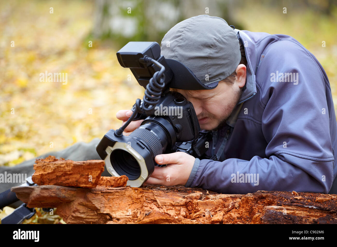 Biologo fotografare piccoli dettagli con attrezzature professionali nella foresta in autunno. Foto Stock