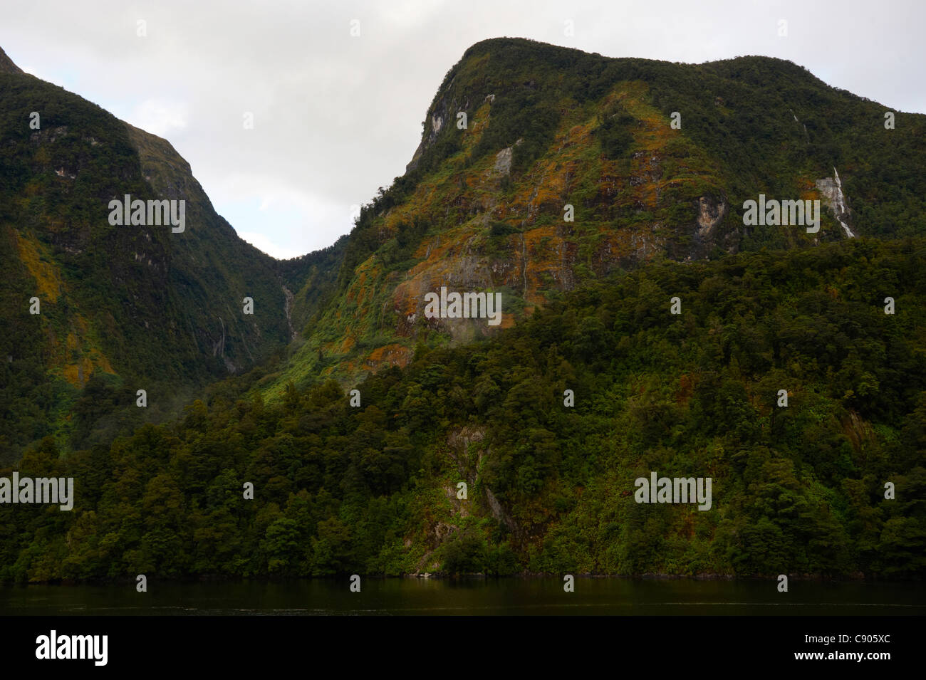 Ripide montagne scoscese di Doubtful Sound, Parco Nazionale di Fiordland, Isola del Sud, Nuova Zelanda Foto Stock