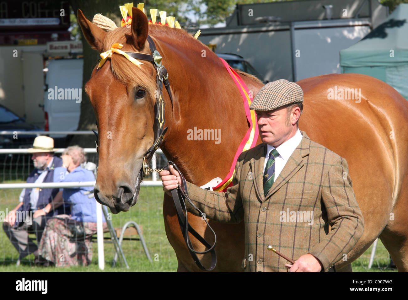 Suffolk punzone essendo mostrato Foto Stock