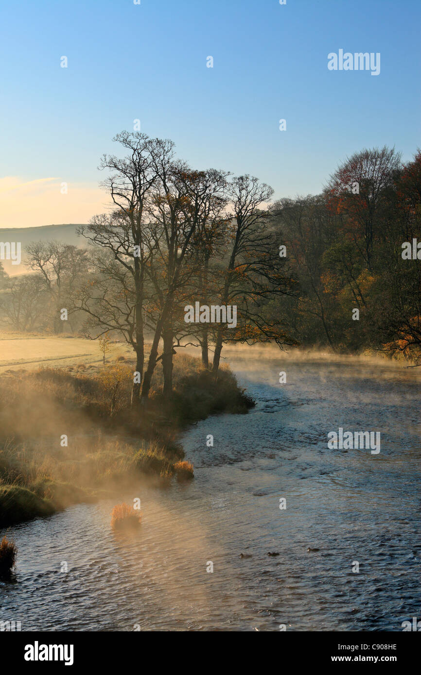 La luce del mattino e la nebbia in una fredda mattina di autunno lungo il fiume Wharfe vicino Barden, Wharefedale, nello Yorkshire, Inghilterra Foto Stock