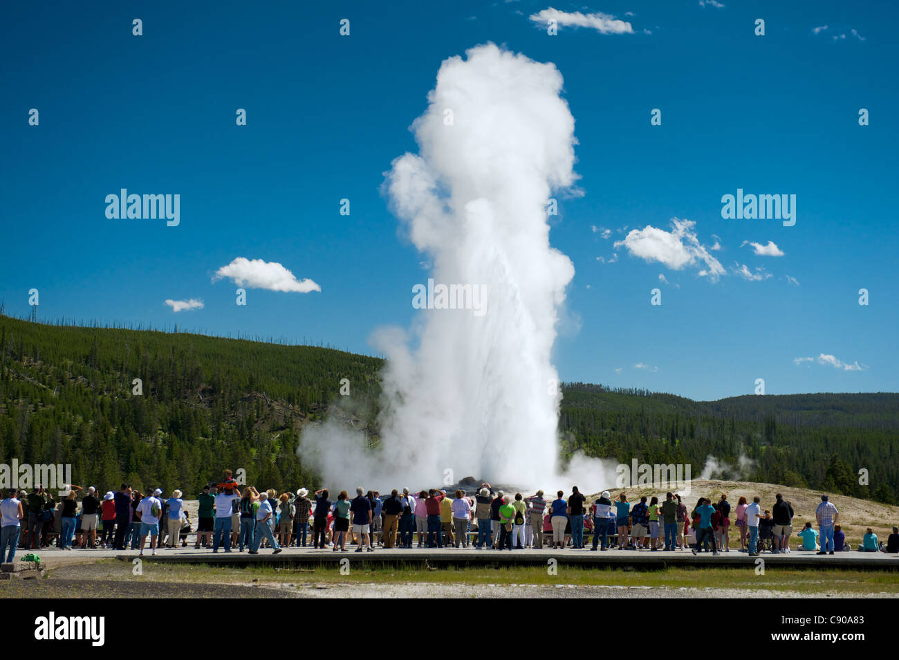 Geyser Old Faithful Foto Stock