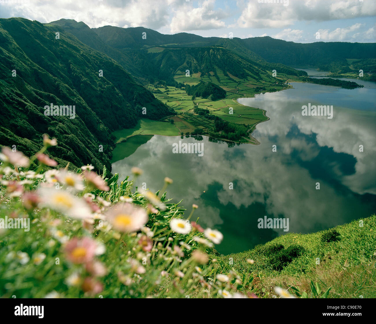 Fiori Selvatici a precipizio di Lagoa Azul, Caldeira das Sete Cidades, nella parte occidentale dell'isola di Sao Miguel, Azzorre, Portogallo Foto Stock