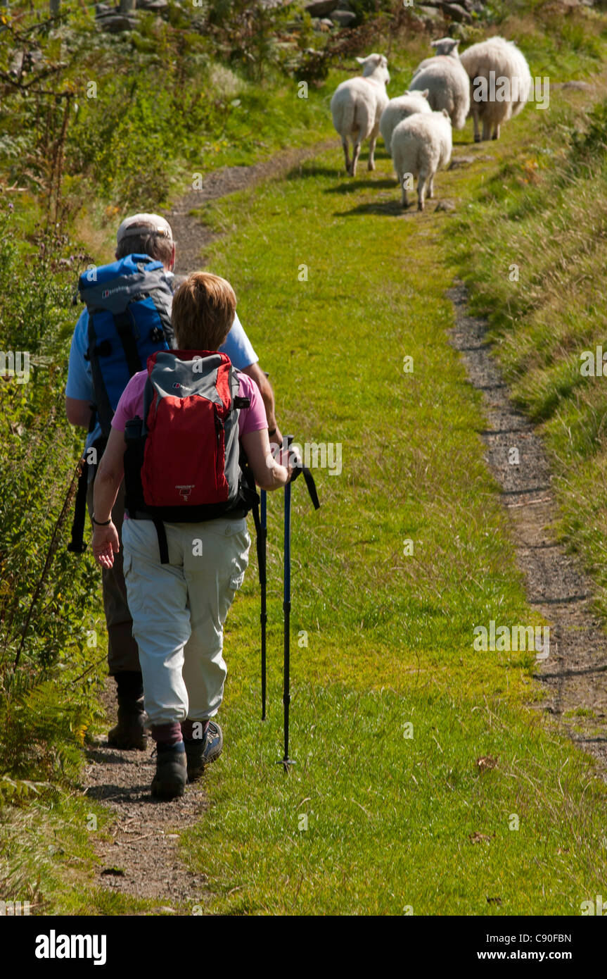 Gli escursionisti sopra a Rowen, Parco Nazionale di Snowdonia, Wales, Regno Unito Foto Stock