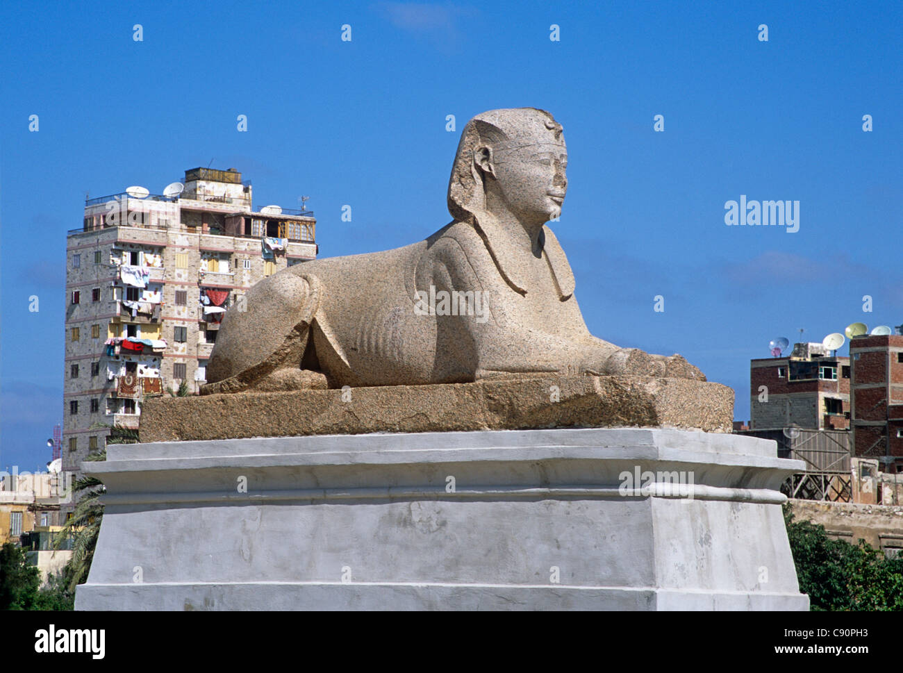 Alessandria fu fondata sulla costa da Alessandro il Grande e ci sono grandi statue e una multa sphinx fatta di granito rosa Foto Stock