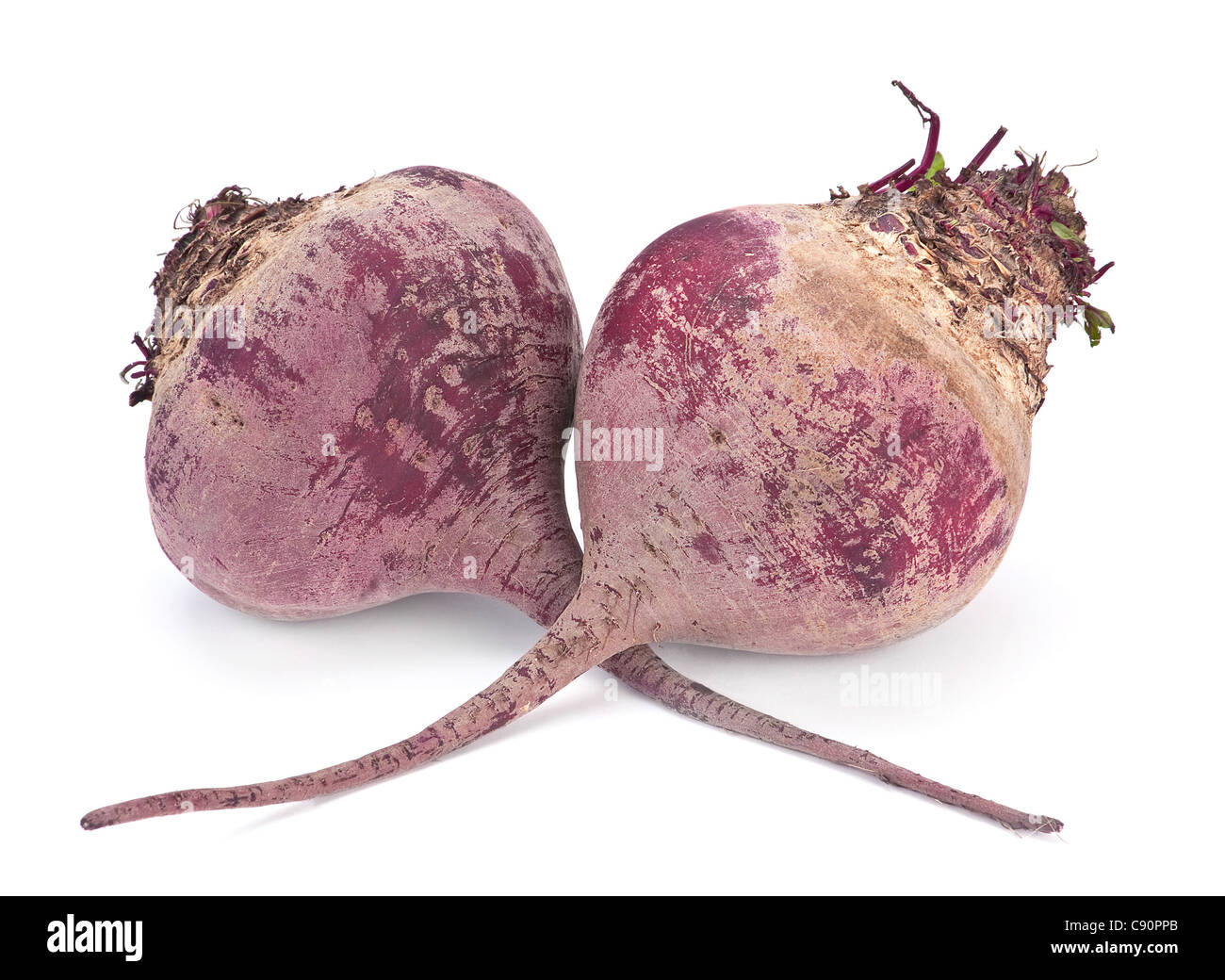 Mature barbabietole vegetali di radice isolato su bianco Foto Stock
