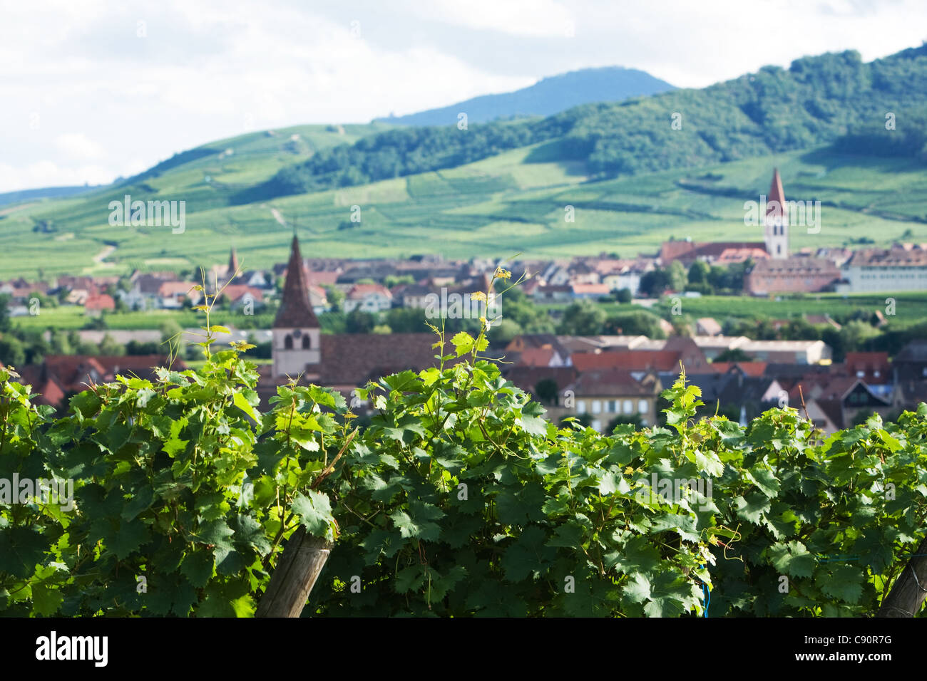 Vitigni & villaggi lungo la Route de vin Francia Foto Stock
