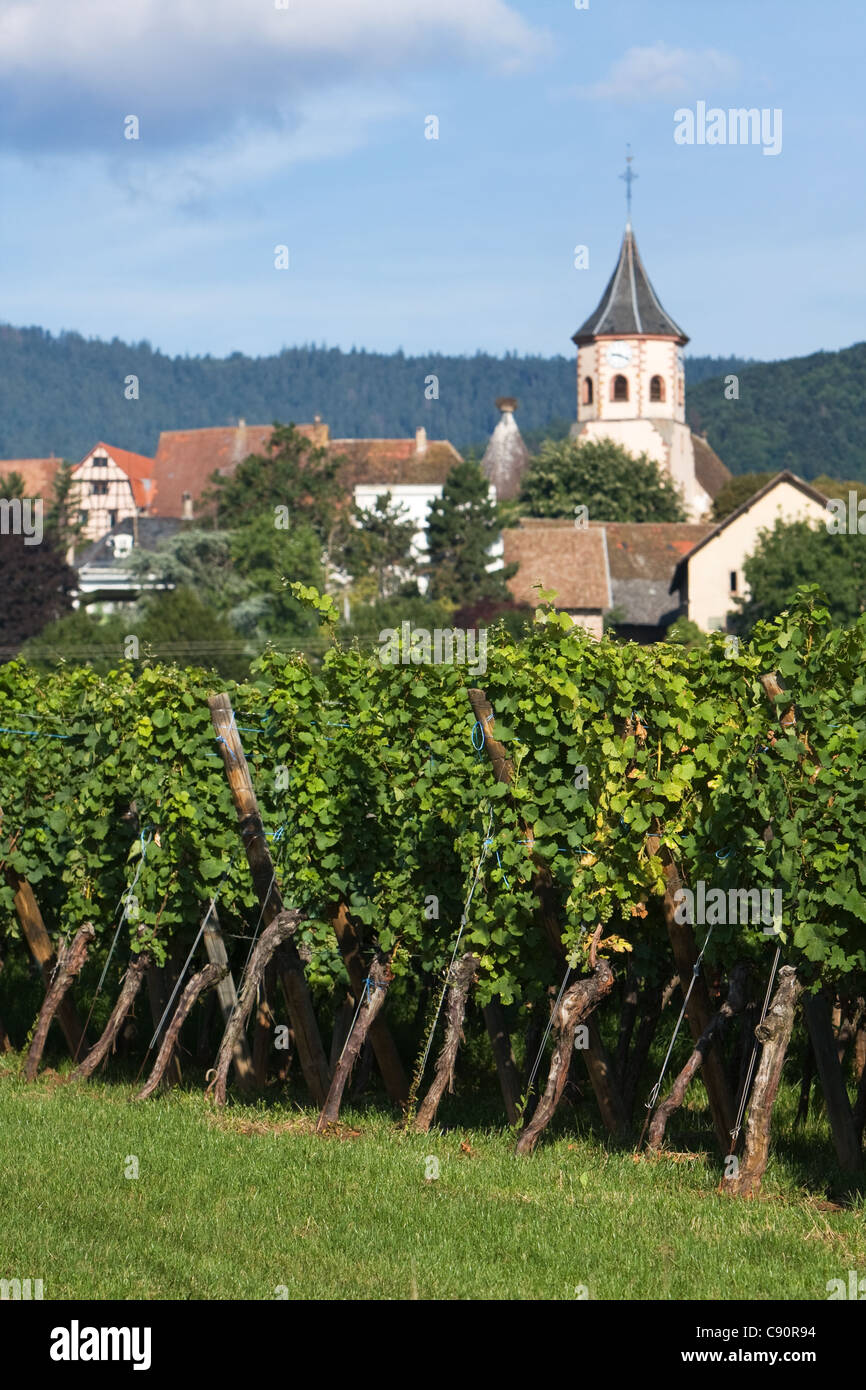 Vitigni & villaggi lungo la Route de vin Francia Foto Stock