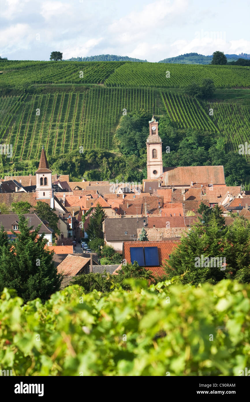 Vitigni & villaggi lungo la Route de vin Francia Foto Stock