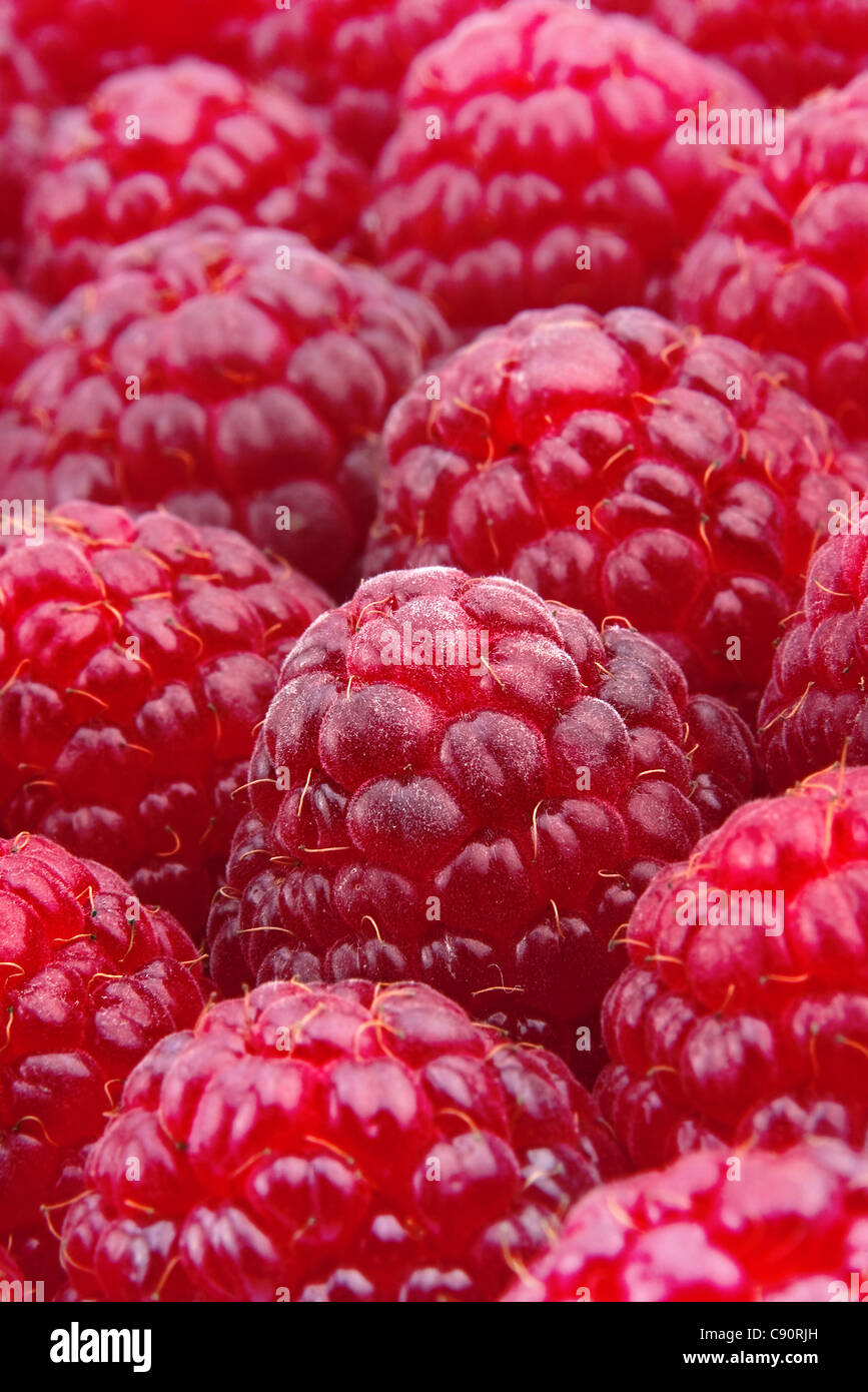 Frutta lampone closeup visualizzare lo sfondo Foto Stock