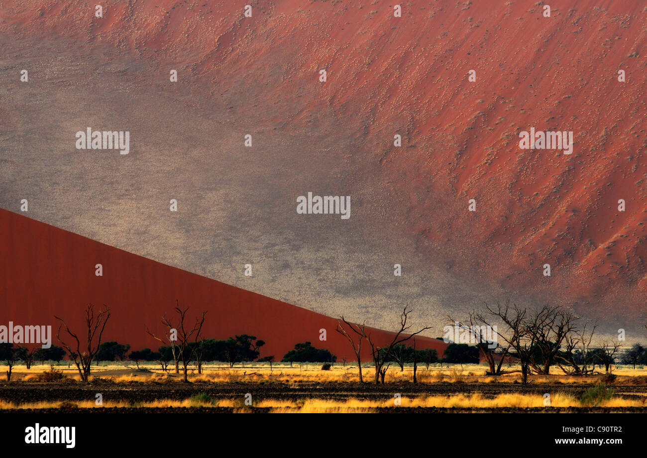 Dune di sabbia rossa in Sossusvlei, Sossusvlei, Namib Naukluft National Park, Namib Desert, Namib, Namibia, Africa Foto Stock