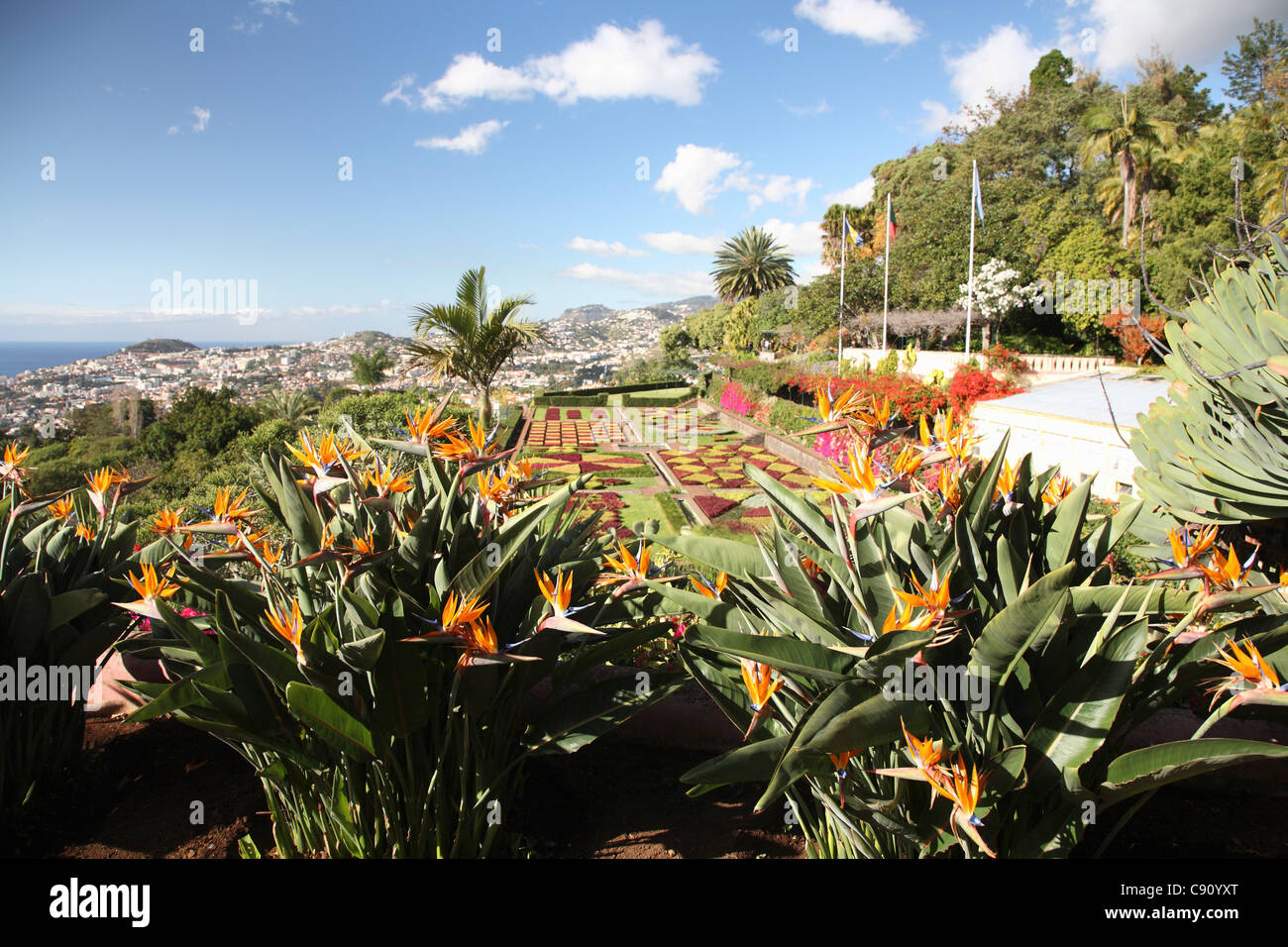 I Giardini Botanici a Quinta de Bom Sucesso sono una grande attrazione turistica sul pendio terrazzato sopra il porto di Funchal con Foto Stock