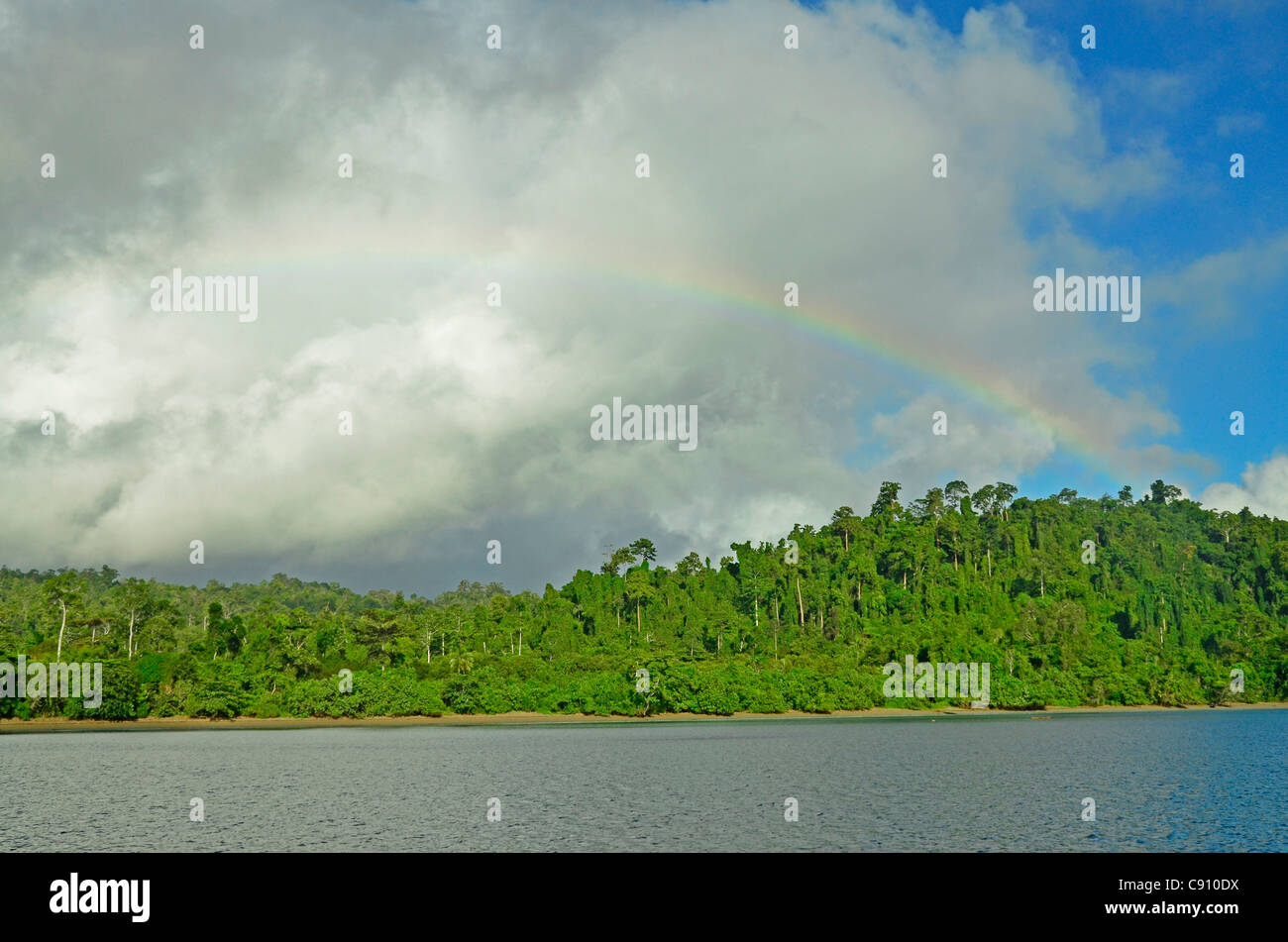 Rainbow sulla foresta pluviale di Isola di Batanta Raja Ampat isole vicino Papua occidentale, in Indonesia nel triangolo di corallo, Oceano Pacifico. Foto Stock