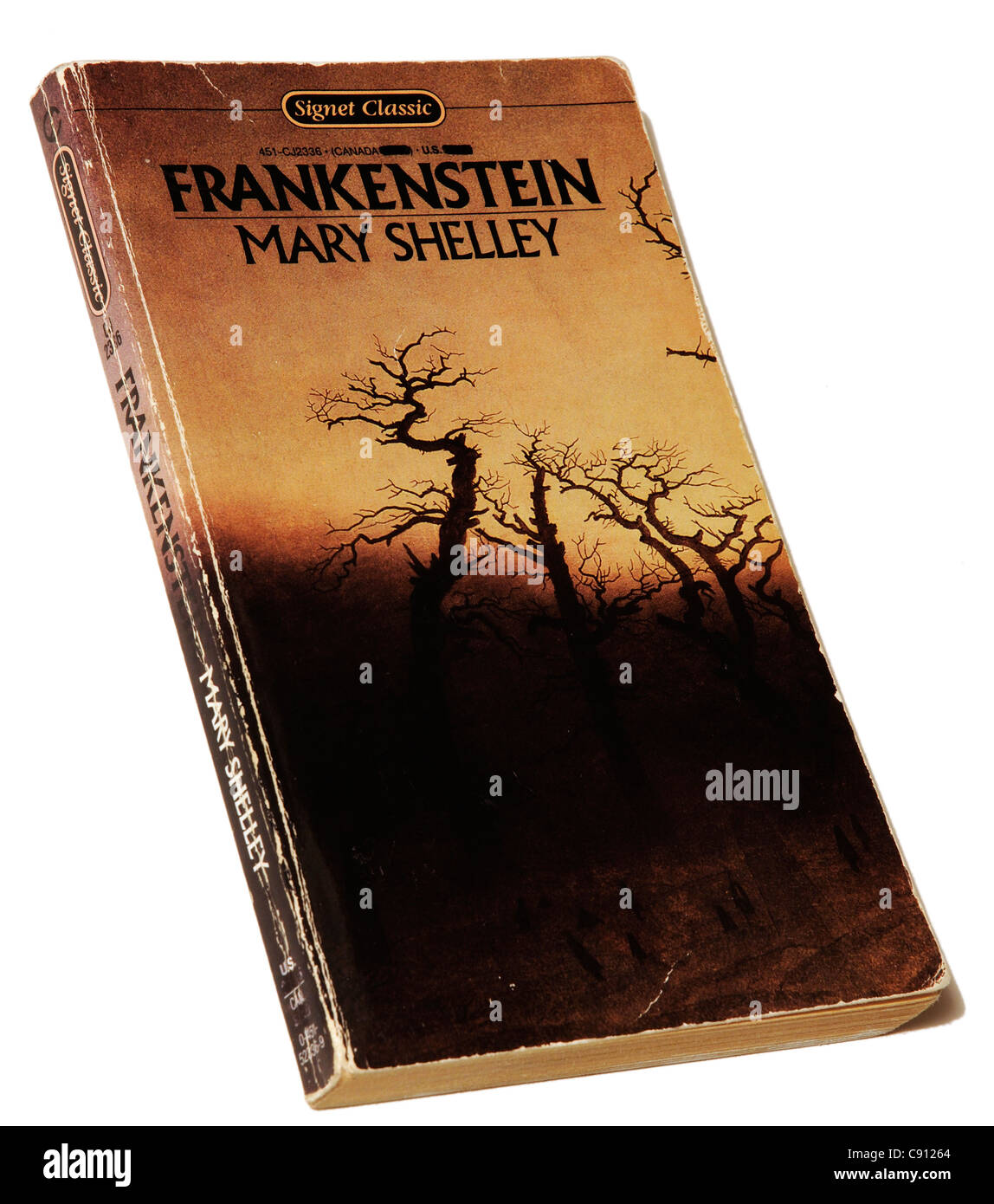 Frankenstein di Mary Shelley Foto Stock